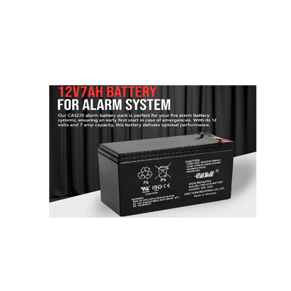 Backup Battery (SMF)